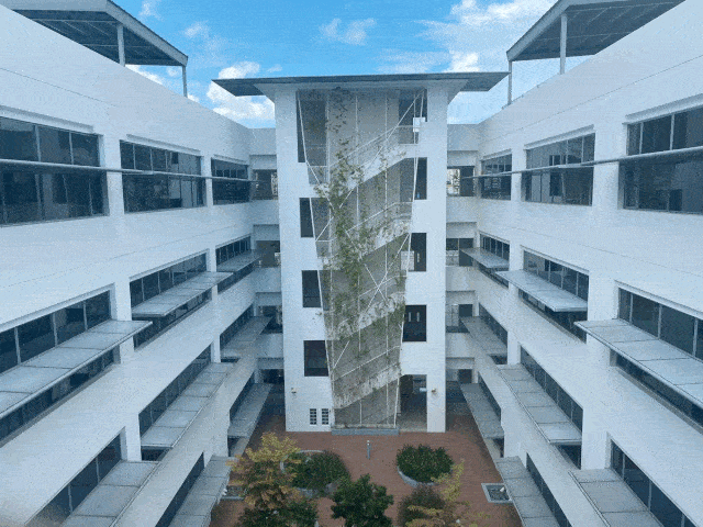 中国美女学霸分享:留学新加坡,在uwc读书是怎样一种体验～_国际学校