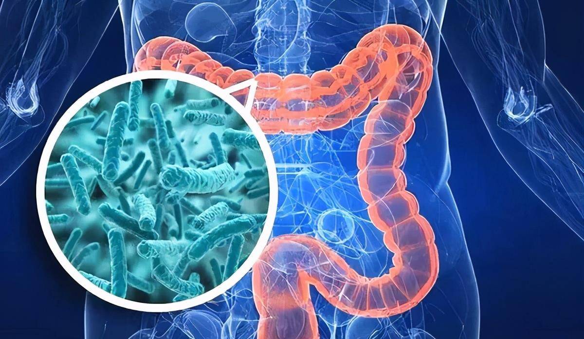 原创人体的肠道菌群失调会有哪些症状?这些你一定要小心了