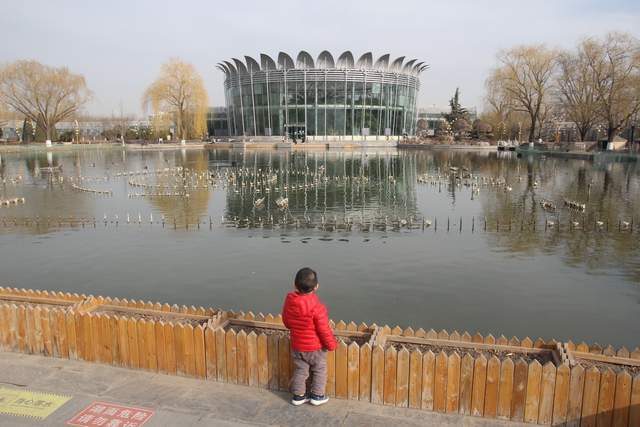 北京这里早已繁花似锦，比植物园更好玩，停车免费位于四环内