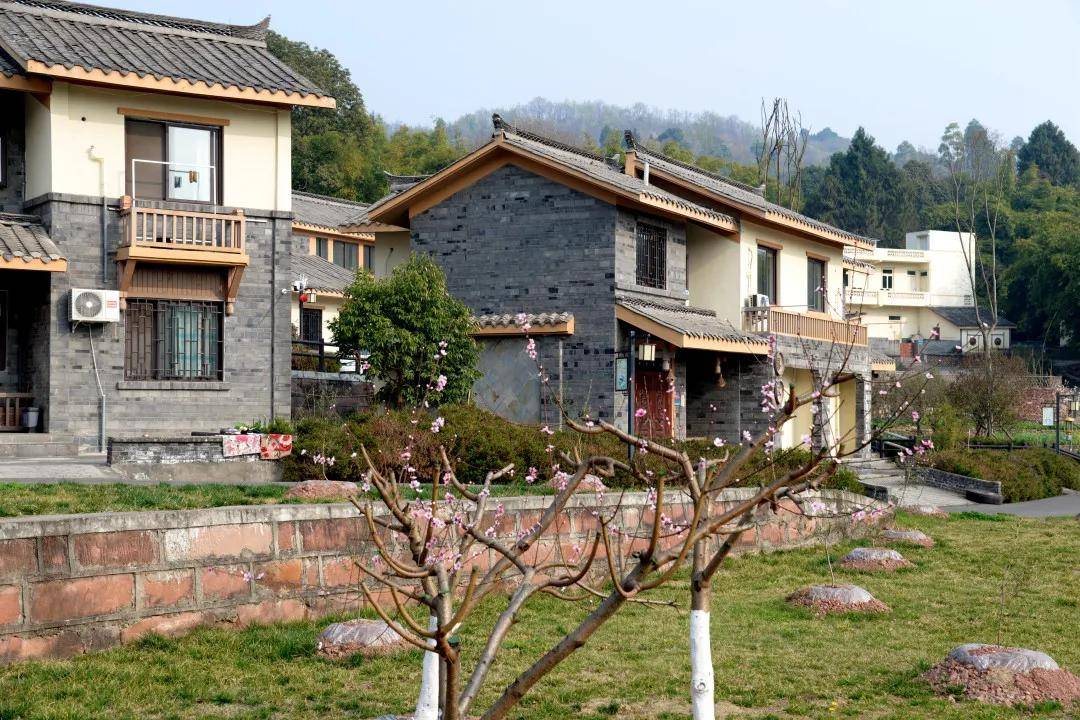 国家政策扶持金堂这个村憧憬乡村振兴幸福美好生活