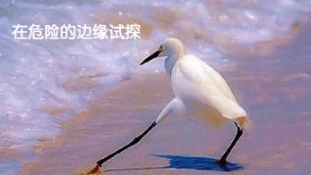 30355ecd6c6945cda09a2ce950fd5619.png
