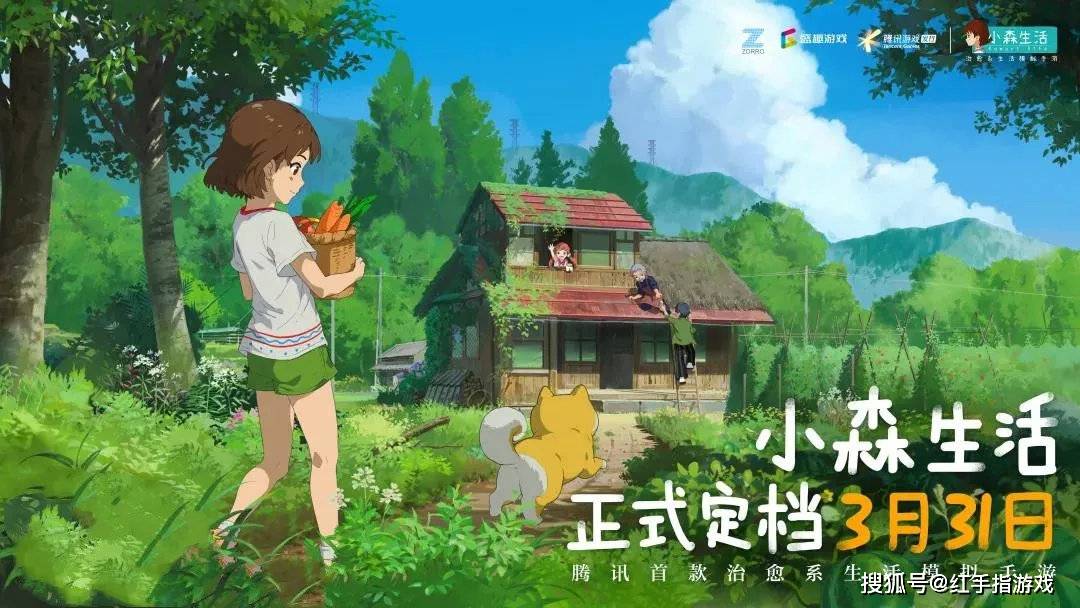文章配图-4