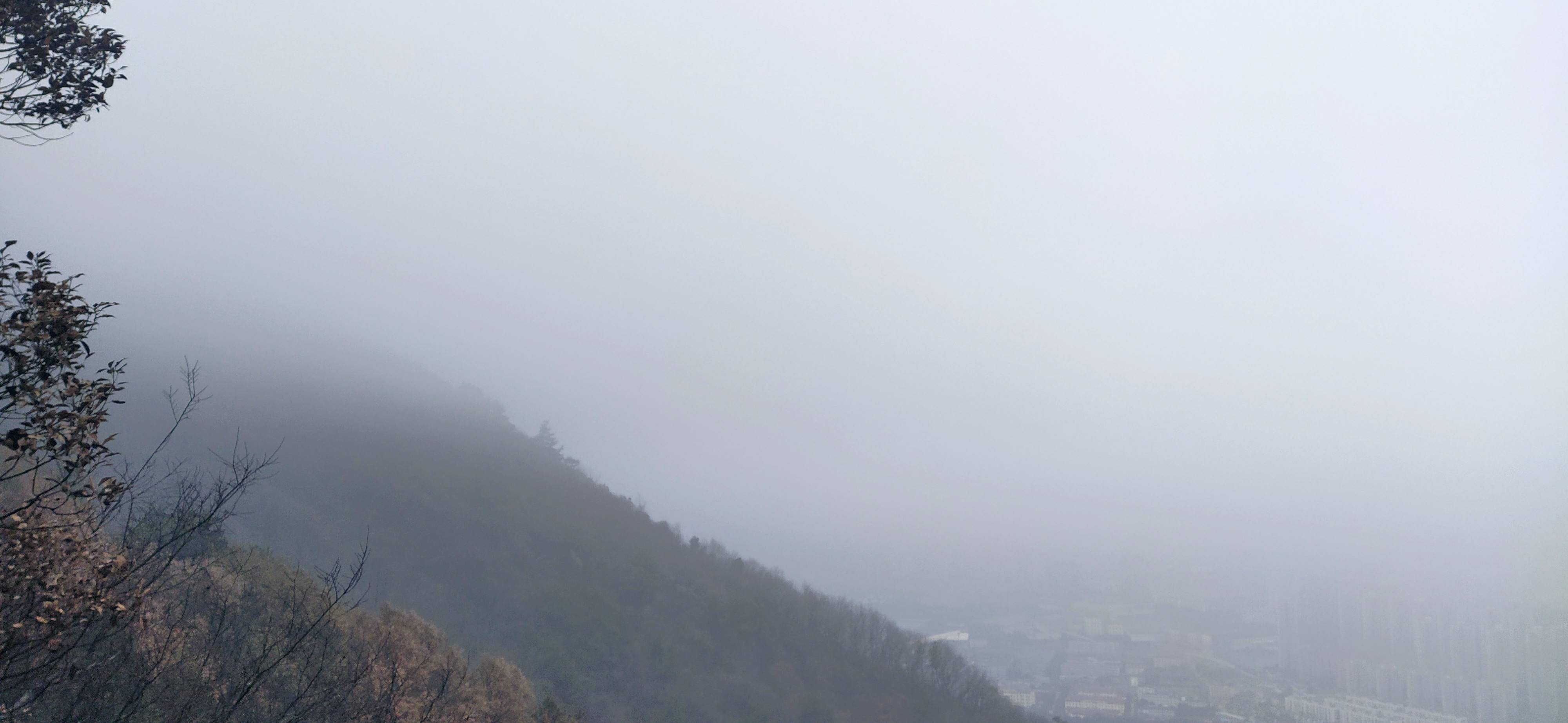 雾惠峰林间