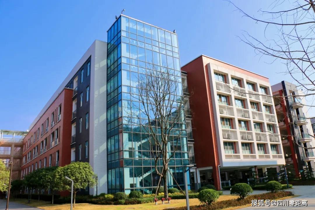 江油外国语学校大美江外生机勃发