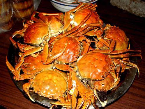 怎样挑选海螃蟹肥不肥 5fd971e3e1c64a5ea340ba8bd4812c30.jpeg