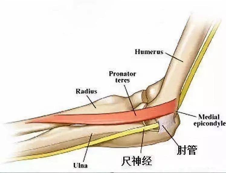 筋膜槍到底是