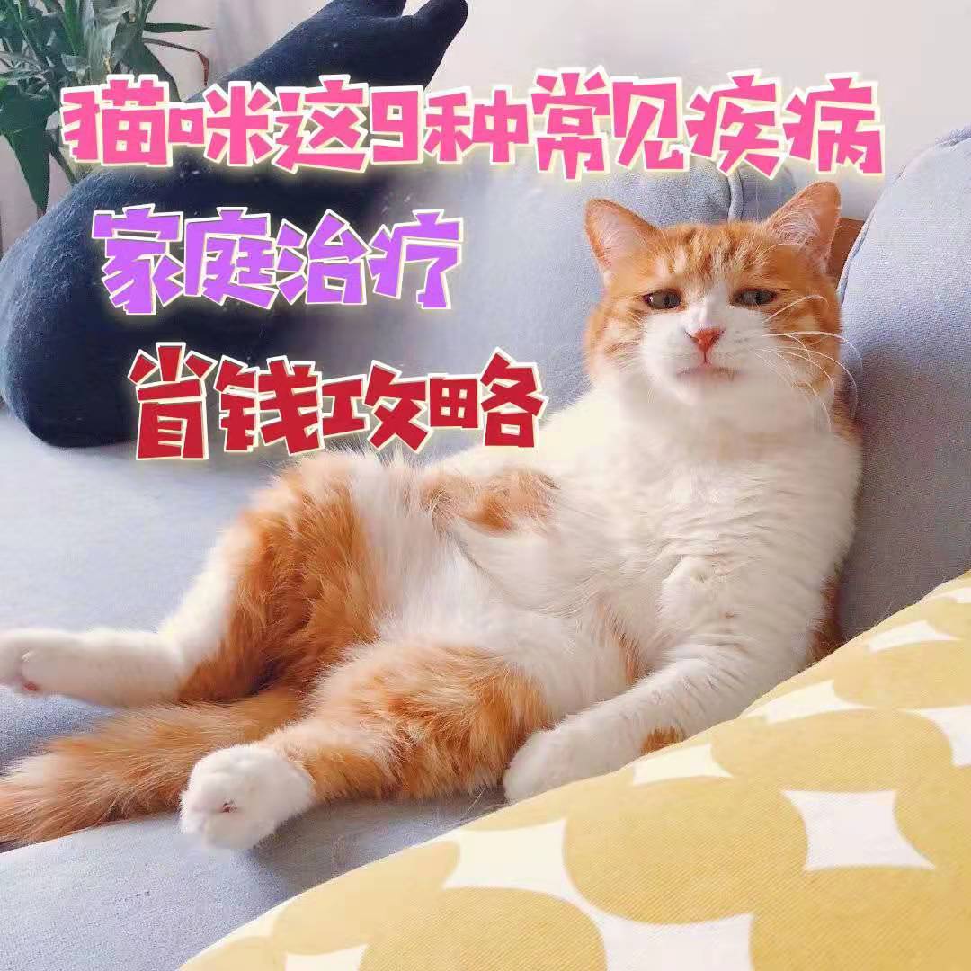 6b4a705de8704f1795abae9431480cec.jpeg