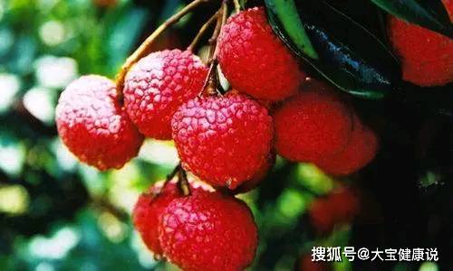 樱桃煮冰糖功效与作用 9fded2b91663425b8004f21883bcba1c.jpeg