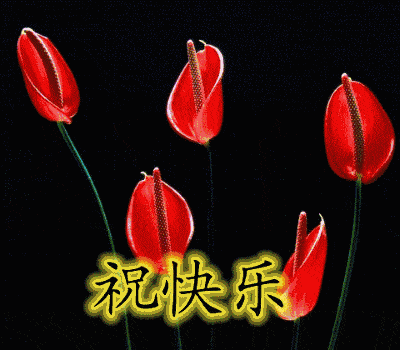 正月二十三早晨好问候祝福语带动图漂亮的鲜花早上好问候动态图片