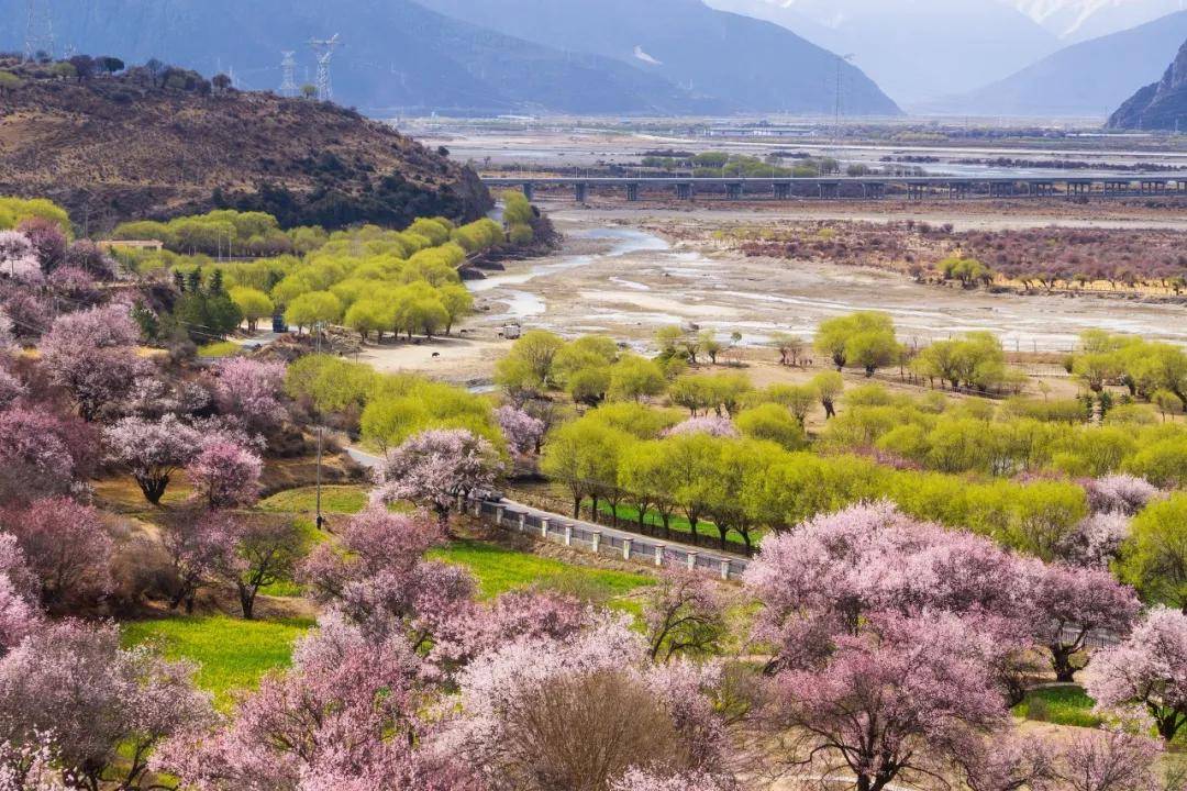 中国春天最美的踏春赏花旅行地？我推荐您去这些地方