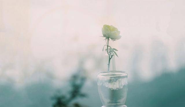 不再去想了 22e8386a8a254bb28701ba16c59bc271.jpeg