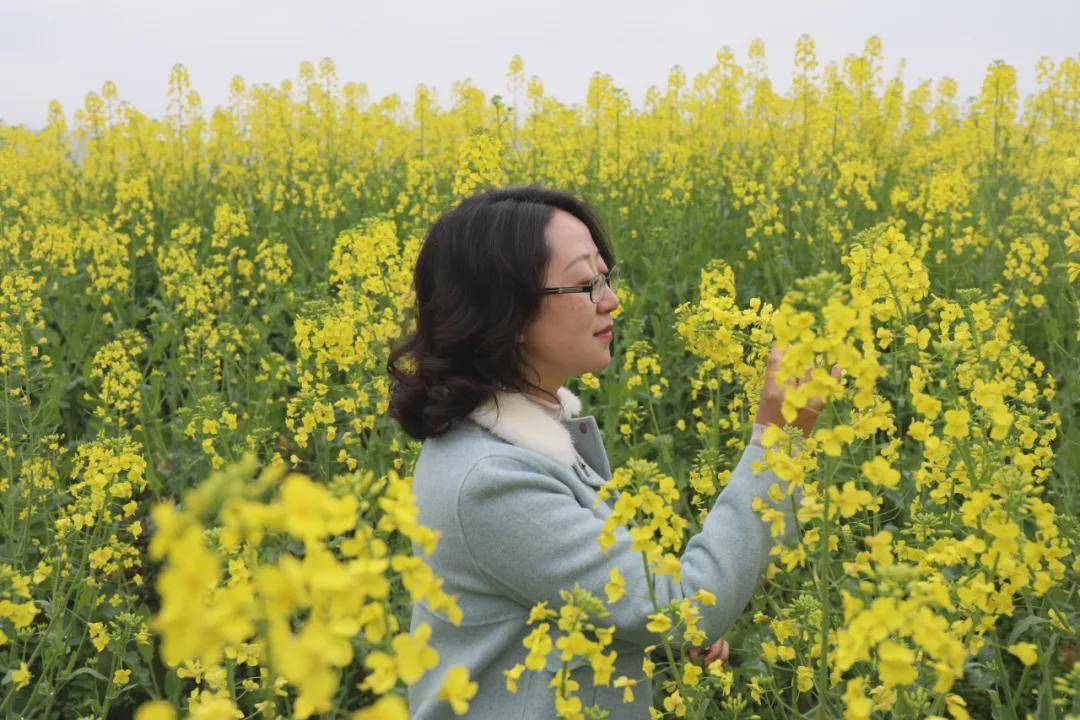 张家界：春约网红村200亩油菜花 送你一片金黄的烂漫
