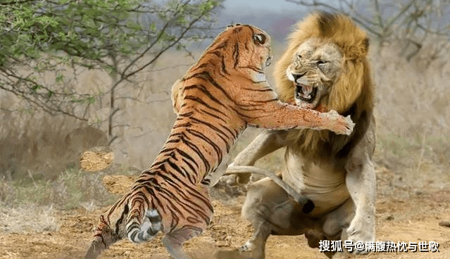 285ef90dff514effb44fed829d1dad95.png