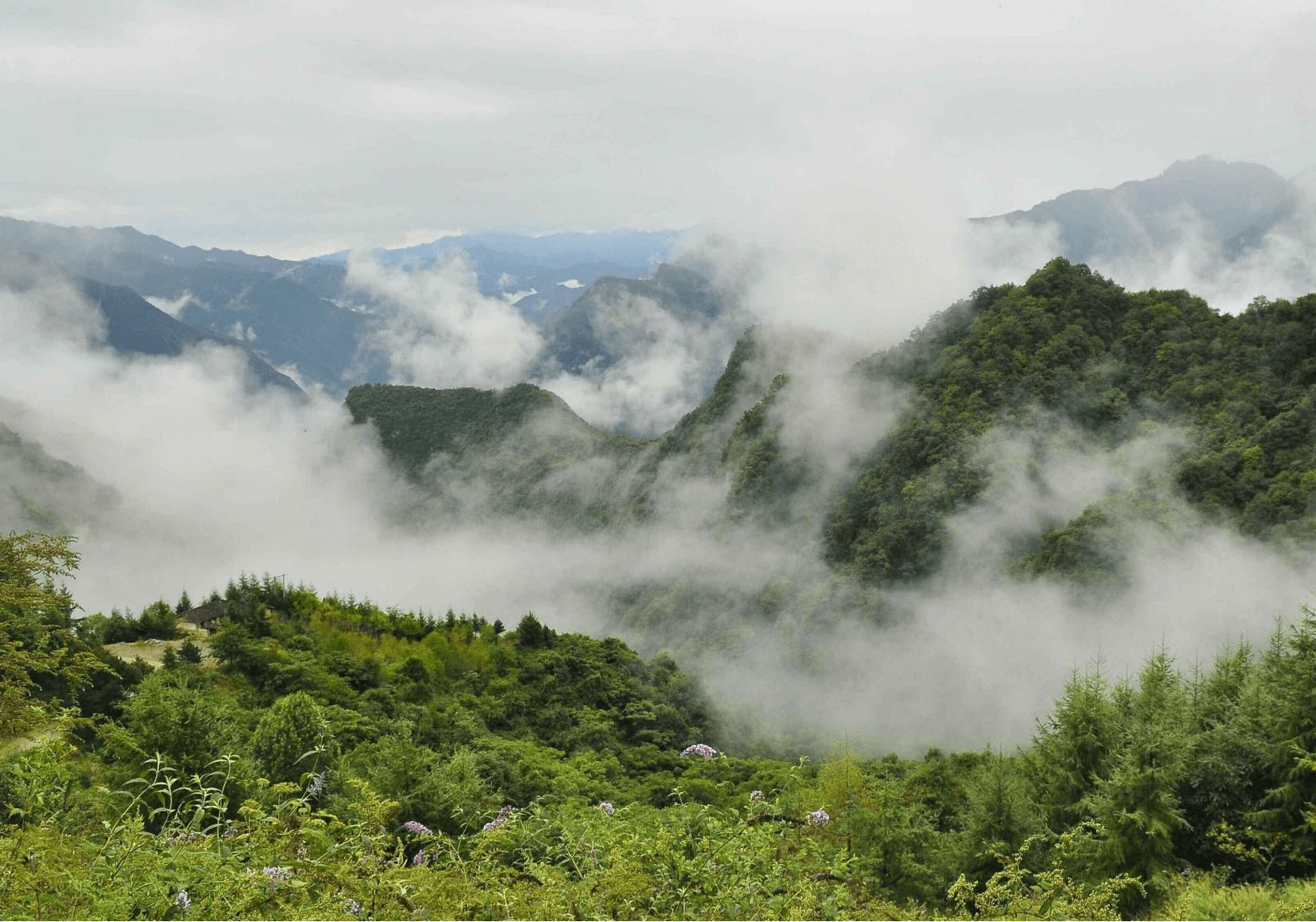 绵阳市经济总量2019_绵阳市地图(2)