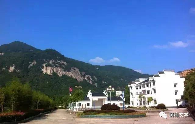 湖北黄梅记实文学柳林柳林中