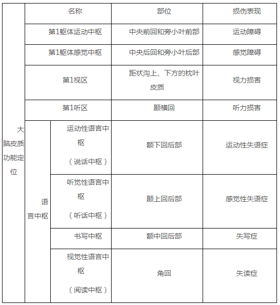 大脑皮质的功能定位图图片