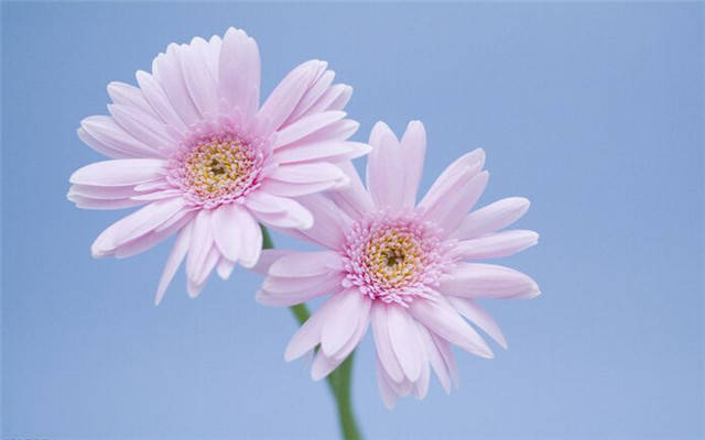 这3大生肖的人 3月10日到3月底前 财运一发不可收拾 富贵说来就来 事业