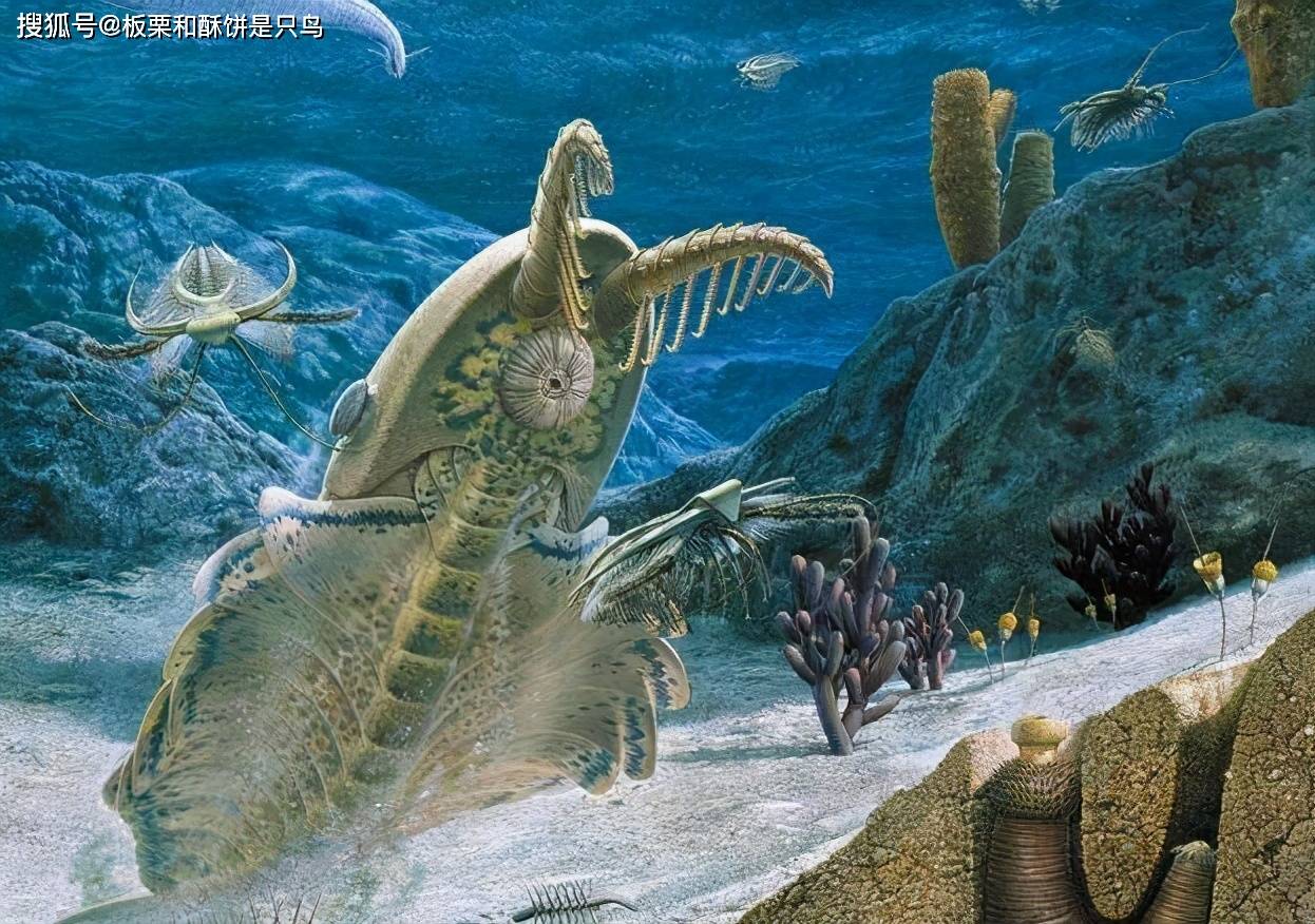 古生代第四个宙是显生宙,显生宙下又分为四个代,分别是:冥古宙,太古宙