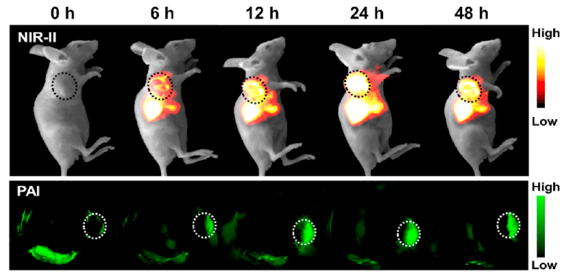 激光加光动力治疗 43984ce3e53e412994e2b431252aa36a.png