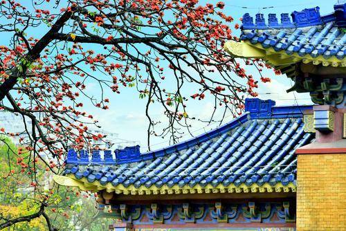 广州适合春游的公园，坐拥“最美木棉王”，现已开花不要错过