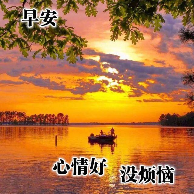 c7306dce790c4585ac706ba6a6762a47.jpeg