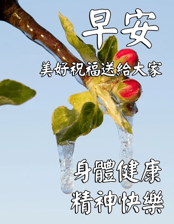 原創早上好問候語帶圖片早安祝福語陽光圖片表情大全