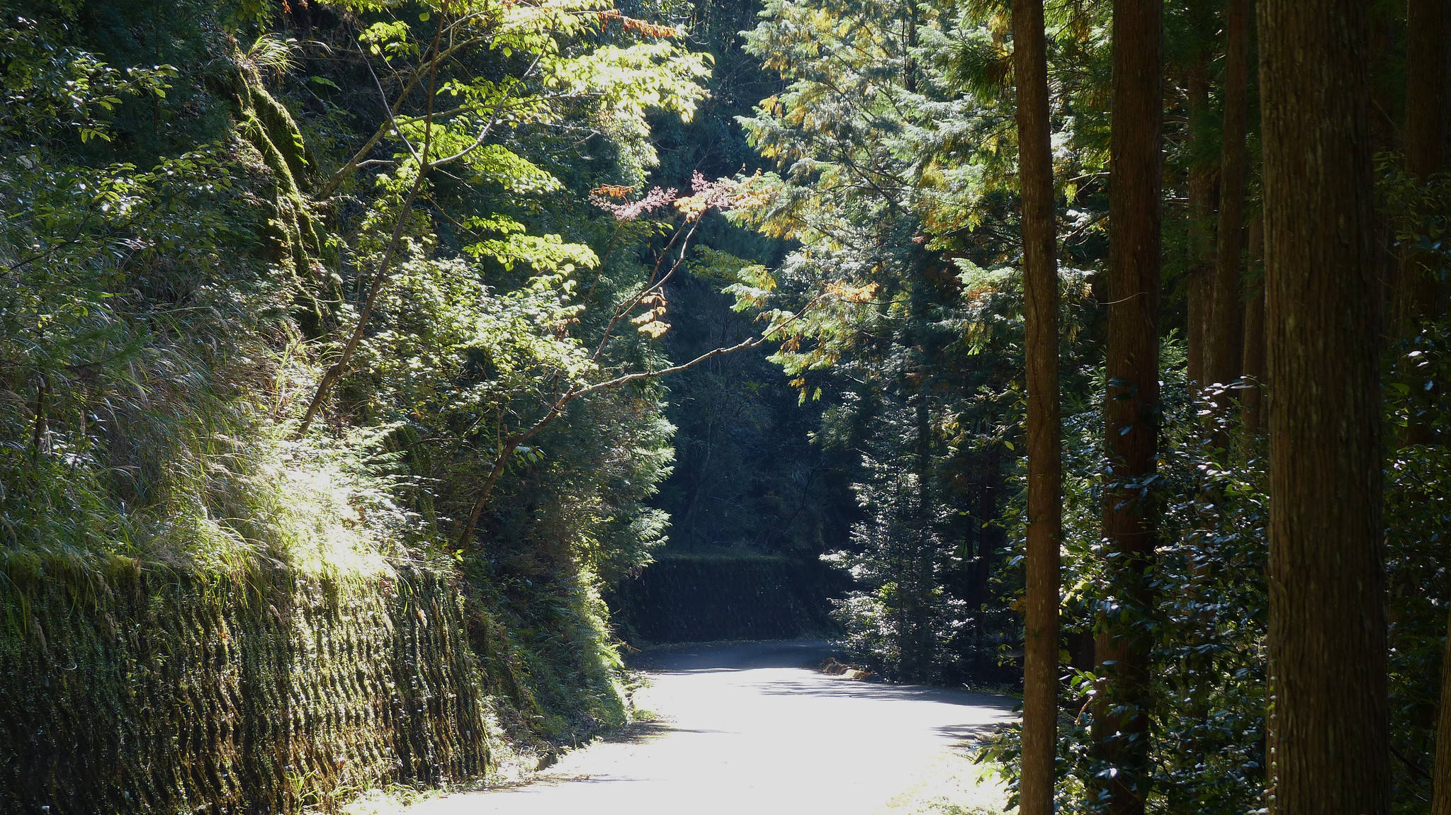 仿若时光倒流的日本山村：隐匿在群山之中，治愈着孤独疲惫的游客