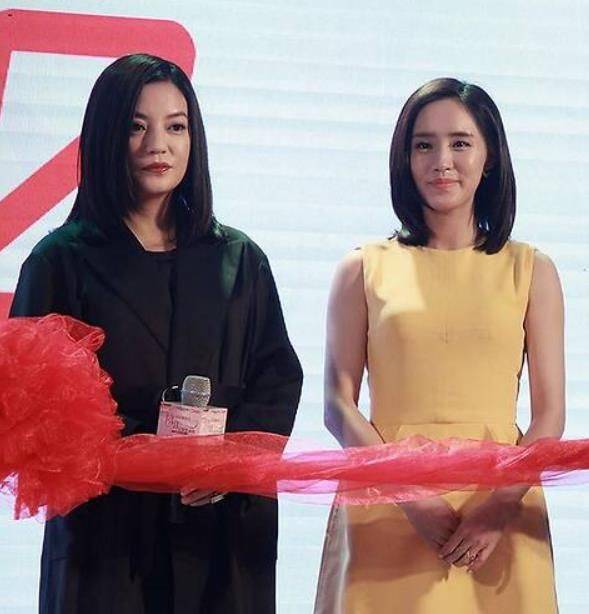 原创替董洁弦子淘汰感到可惜?大可不必!一轮游的王智照样逆袭翻盘