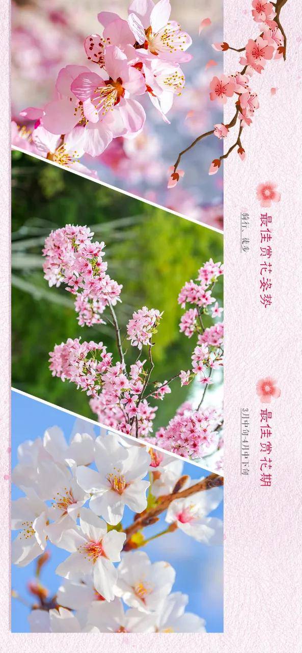 《2021年咸宁赏花地图》上线！你要的春天都在这里！