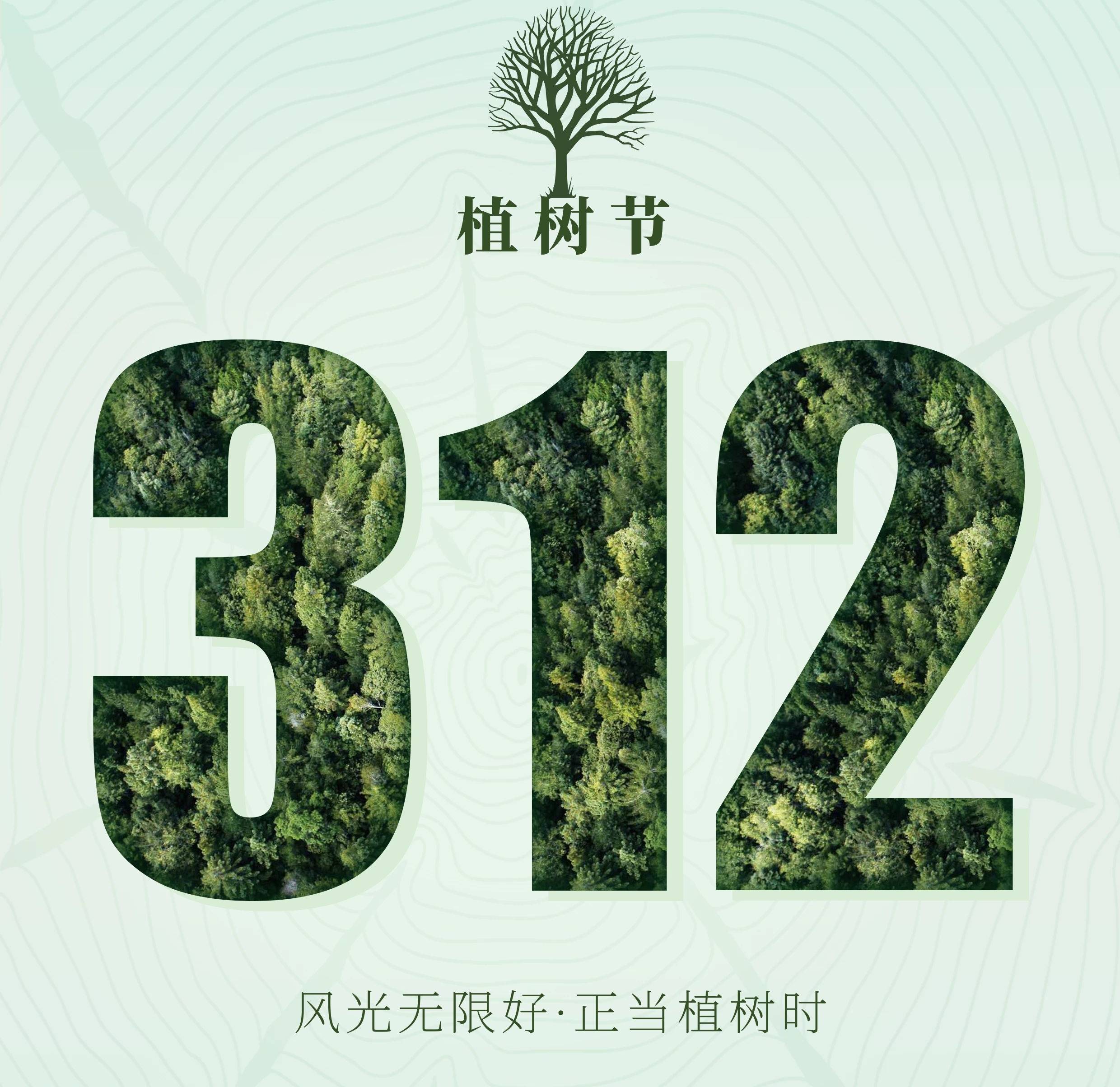 3月12日植树节 你知道有关 树 的名言名句吗 前辈