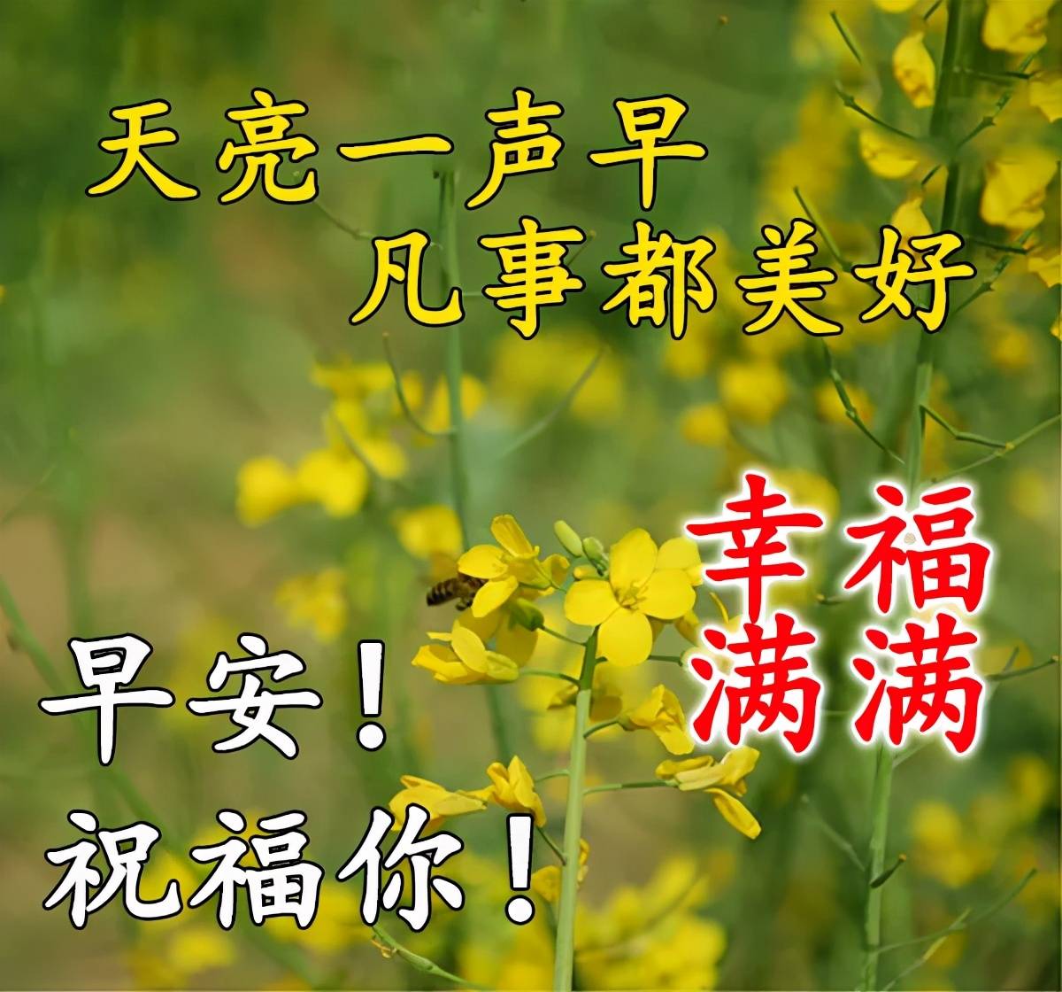 原創清晨問候祝福語動畫表情動態圖片早安最新暖心問候語句