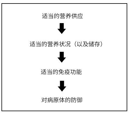 营养在支持免疫反应中的重要性