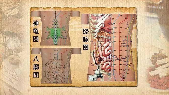 9,脊椎全息圖10,鼻部全息圖11,面部全息圖