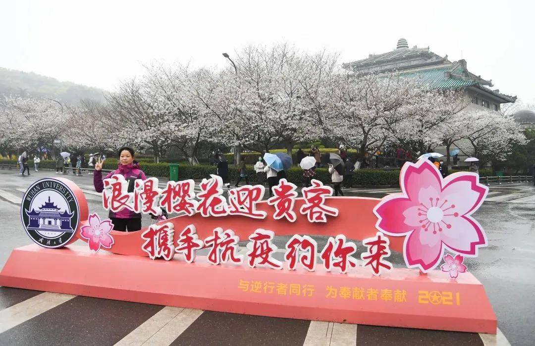 2020→2021，来看武汉大学这组樱花对比照