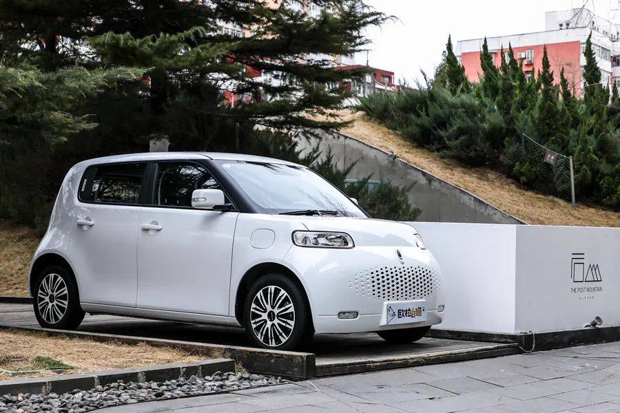 做车圈最懂你的时尚潮猫欧拉白猫带你解锁精致新生活