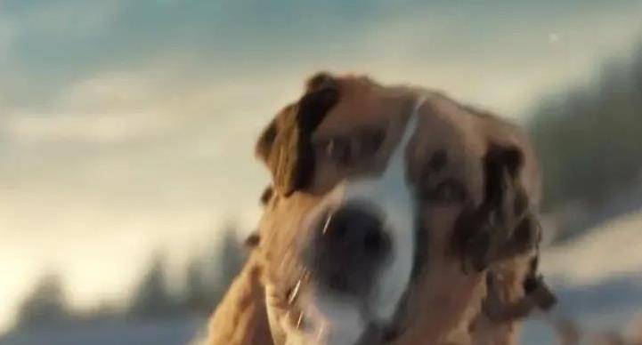 狗为啥会有高智商 c21da8b462ce4dd9badc32b053fca832.jpeg