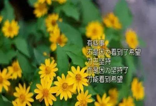 eb43b9fb32fc4af9b666ac9bc193c4e3.jpeg