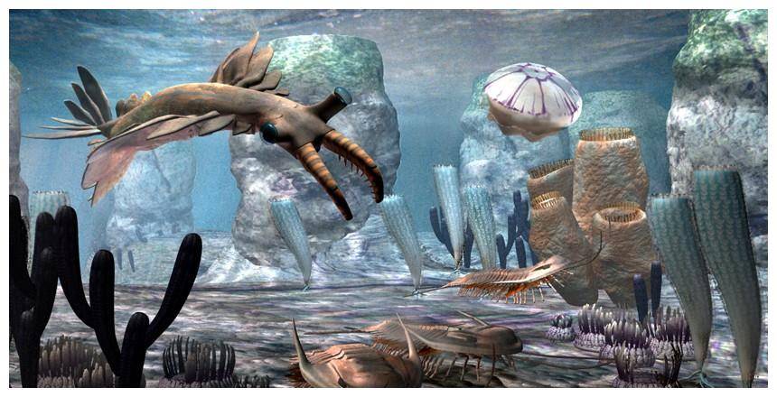 4亿年前,地球进入富氧的显生宙,后生动物(动物,植物和真菌)的时代就