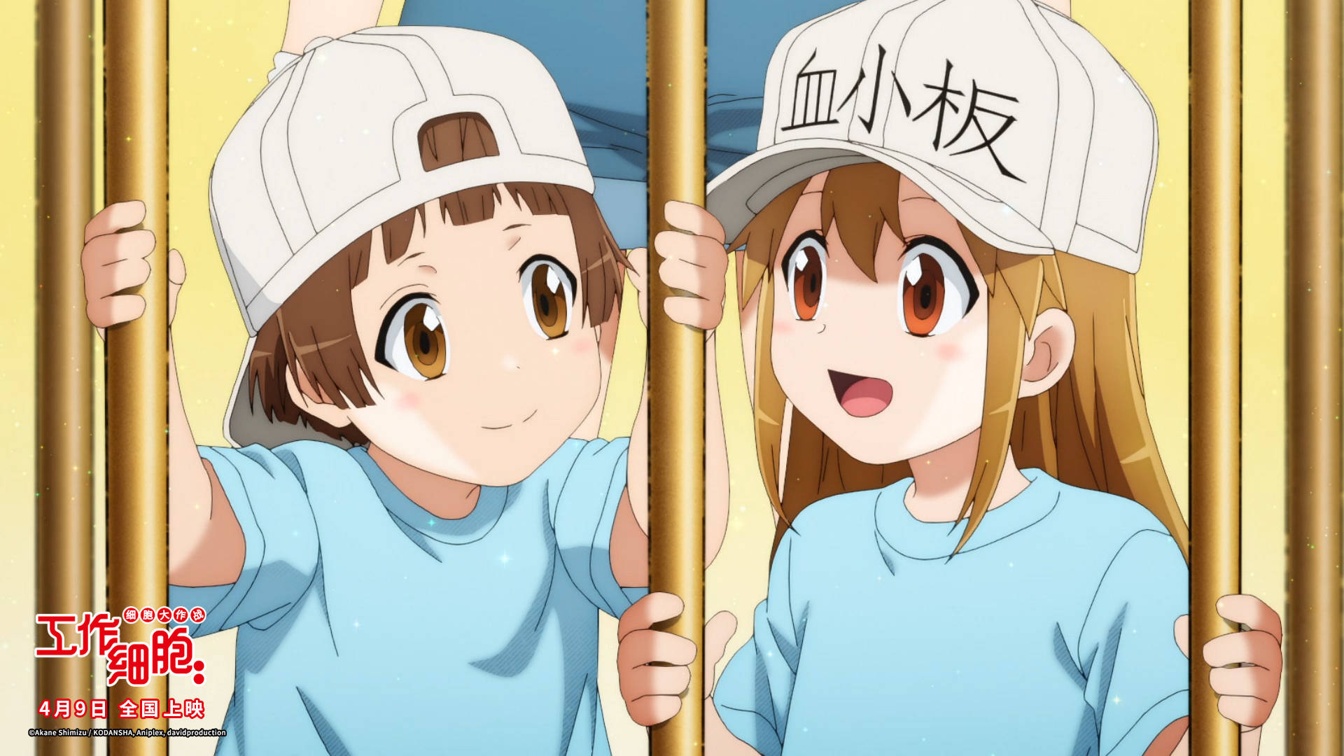 电影版工作细胞细胞大作战曝内地定档预告4月9日高萌上演身体保卫战