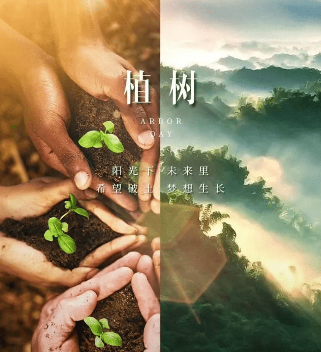 詩詞鑑賞312植樹節關於種樹的古詩詞你都知道哪些