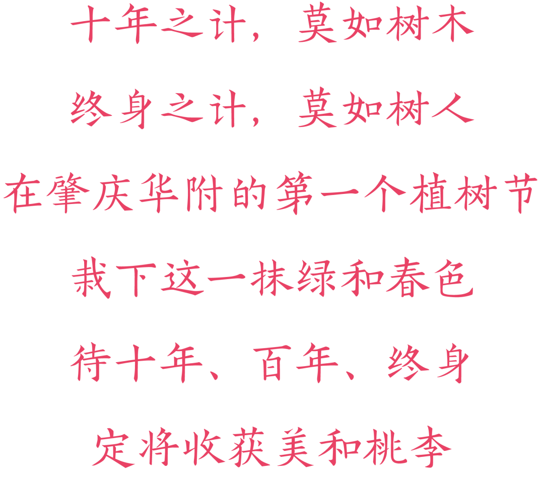 那一抹绿简谱_一抹夕阳简谱(3)