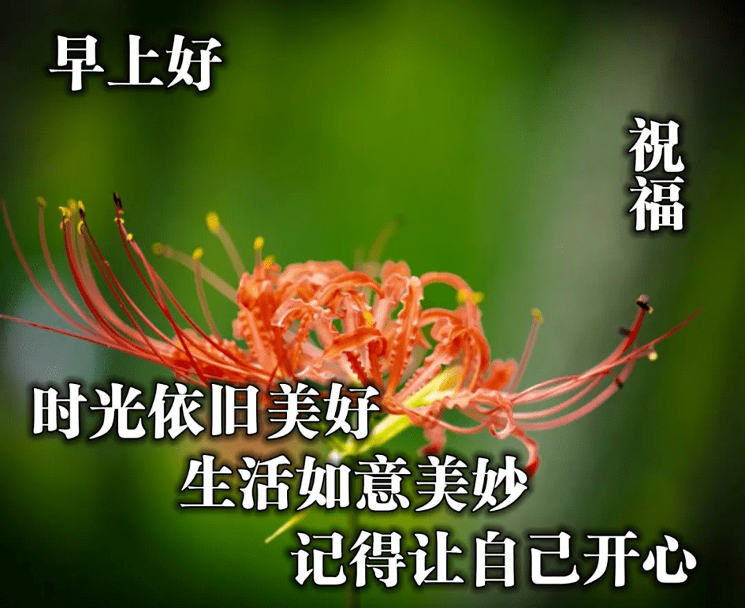 最美的早上好祝福問候語錄 朋友圈新版早晨好暖心祝福圖片帶字