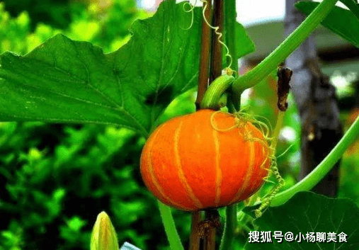 657b41ae41154d78b2ef50de951c6960.png