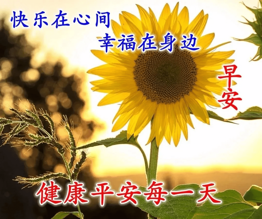 原创清晨暖心的早安祝福语朋友圈最喜欢的早安祝福图片