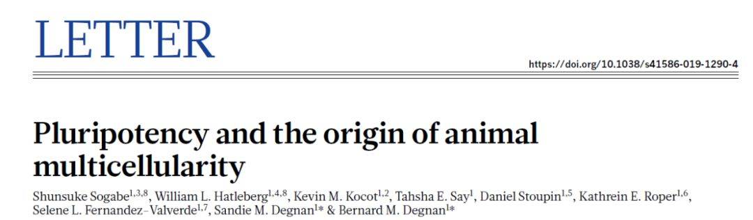 Nature 从单细胞生物到多细胞生物的进化机制 动物