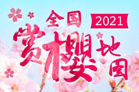 2021全国赏樱地图出炉 樱花全面提前绽放