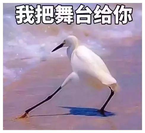 这些女星都是演配角出彩，主角扑街，网友点名关晓彤最明显