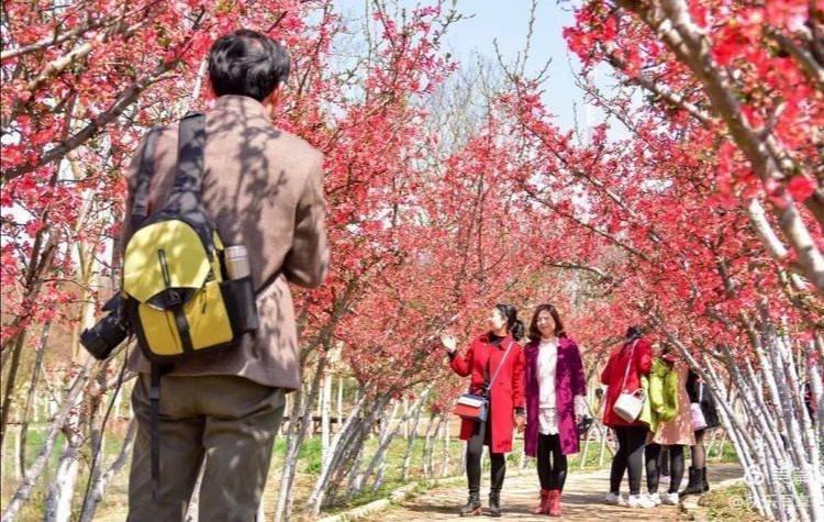 武汉市新洲区仓埠紫薇都市花园：“赏红、踏青、祭花神……这里今天“美爆了”