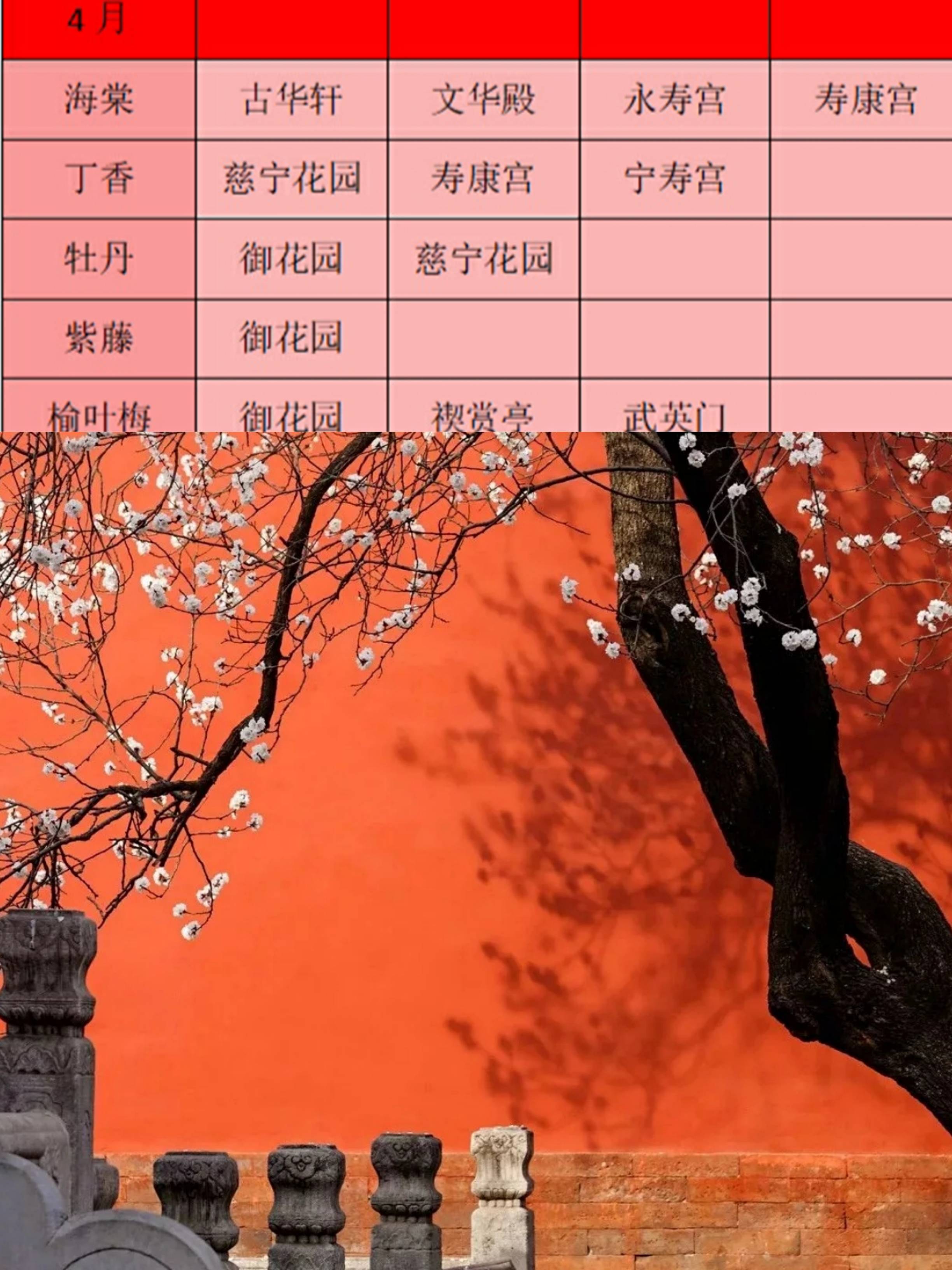 北京旅游故宫赏花景点拍照游玩路线附北京行李寄存攻略