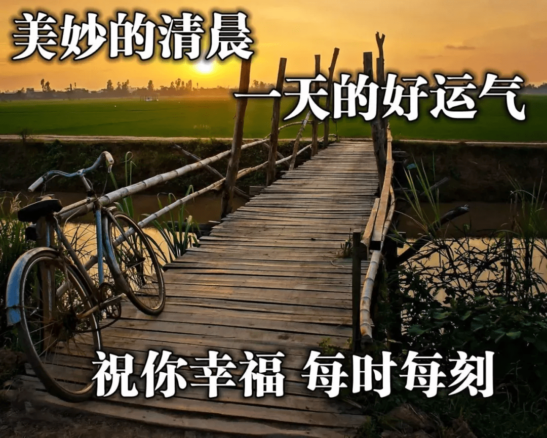 早晨好祝福語圖片合集,最新早安問候語表情圖片大全